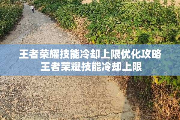 王者荣耀技能**上限优化攻略 王者荣耀技能**上限