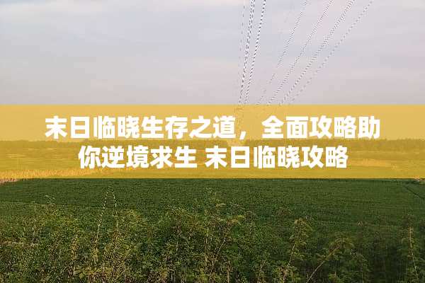 末日临晓生存之道，全面攻略助你逆境求生 末日临晓攻略