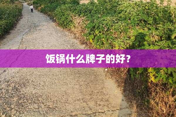 饭锅什么牌子的好？