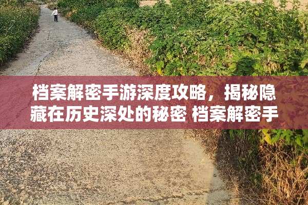 档案解密手游深度攻略，揭秘隐藏在历史深处的秘密 档案解密手游游戏攻略