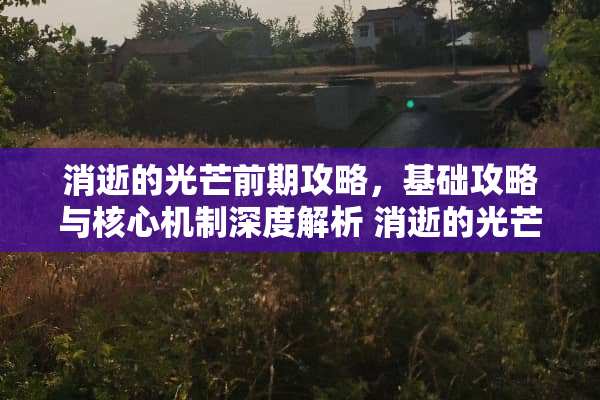 消逝的光芒前期攻略，基础攻略与核心机制深度解析 消逝的光芒前期攻略