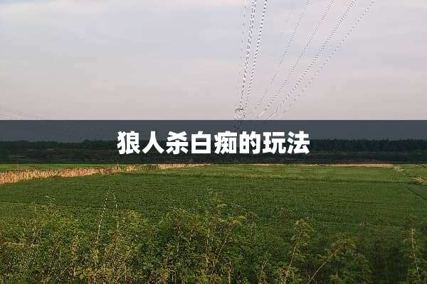 狼人杀**的玩法