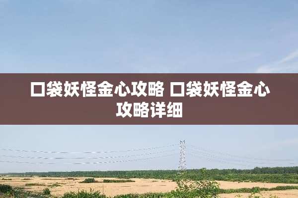 口袋妖怪金心攻略 口袋妖怪金心攻略详细