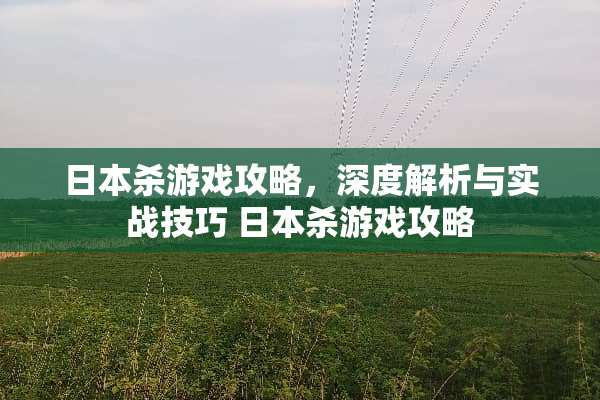 日本杀游戏攻略，深度解析与实战技巧 日本杀游戏攻略