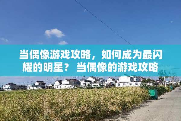 当偶像游戏攻略，如何成为最闪耀的明星？ 当偶像的游戏攻略