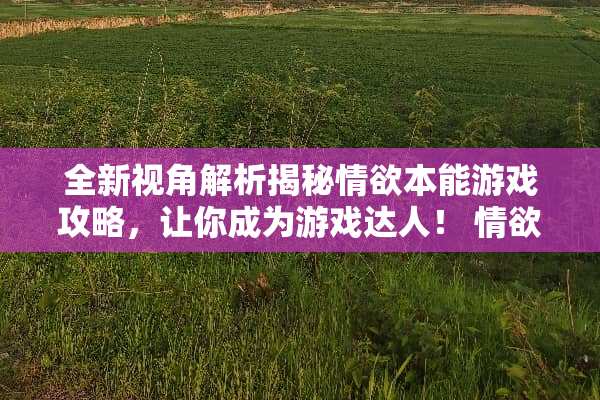 全新视角解析揭秘**本能游戏攻略，让你成为游戏达人！ **本能游戏攻略