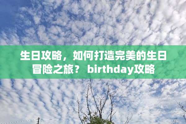 生日攻略，如何打造完美的生日冒险之旅？ birthday攻略