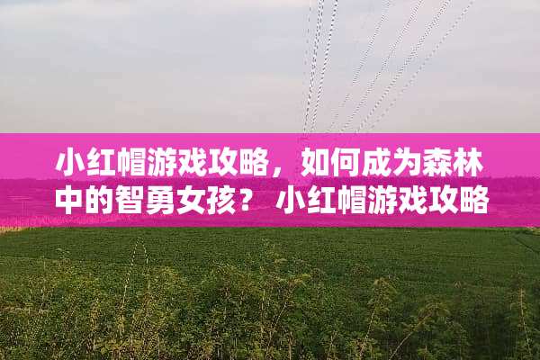 小红帽游戏攻略，如何成为森林中的智勇女孩？ 小红帽游戏攻略