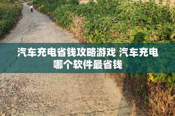 汽车充电省钱攻略游戏 汽车充电哪个软件最省钱