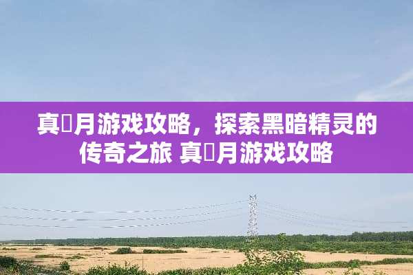 真燐月游戏攻略，探索黑暗精灵的传奇之旅 真燐月游戏攻略
