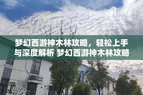 梦幻西游神木林攻略，轻松上手与深度解析 梦幻西游神木林攻略