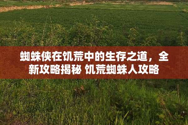 蜘蛛侠在饥荒中的生存之道，全新攻略揭秘 饥荒蜘蛛人攻略