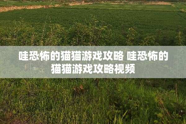 哇恐怖的猫猫游戏攻略 哇恐怖的猫猫游戏攻略视频