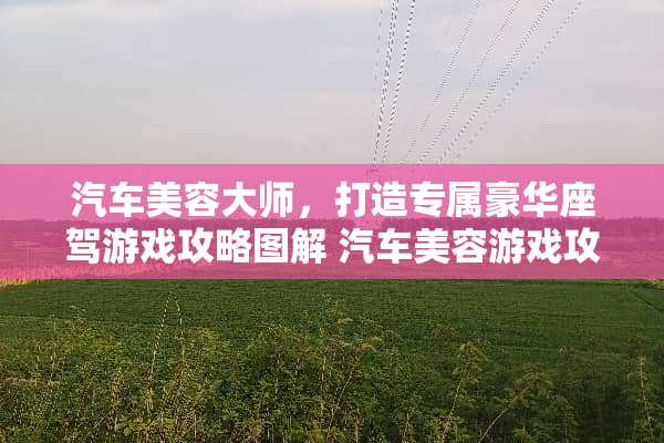汽车美容大师，打造专属豪华座驾游戏攻略图解 汽车美容游戏攻略图解