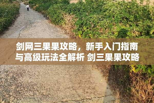 剑网三果果攻略，新手入门指南与高级玩法全解析 剑三果果攻略
