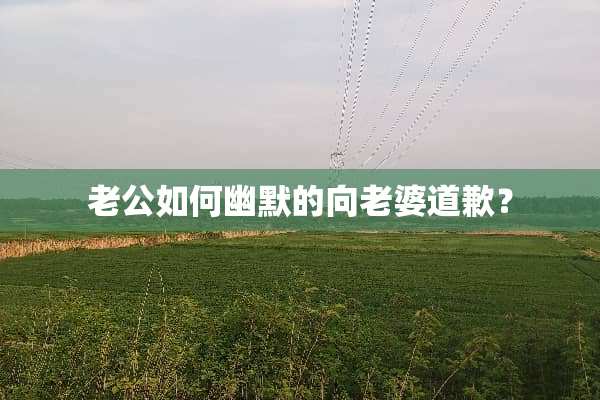 老公如何幽默的向老婆道歉？