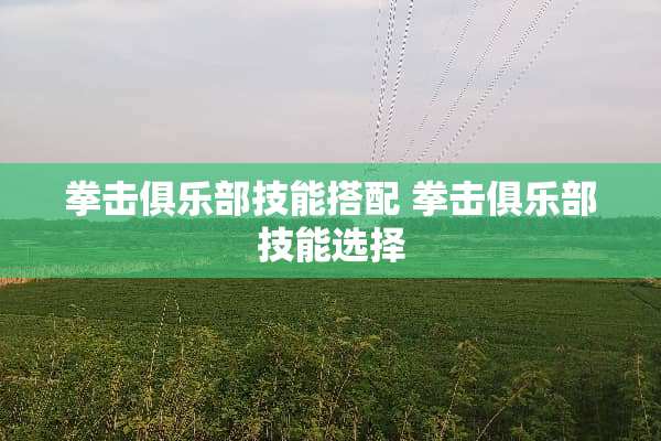 拳击俱乐部技能搭配 拳击俱乐部技能选择