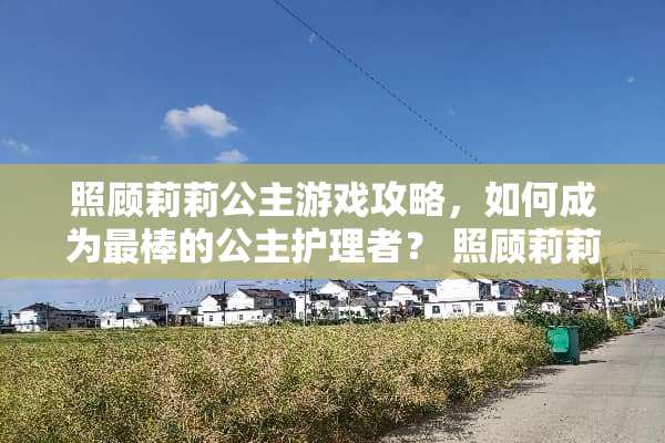 照顾莉莉公主游戏攻略，如何成为最棒的公主护理者？ 照顾莉莉公主游戏攻略