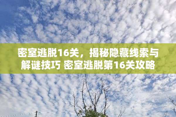 密室逃脱16关，揭秘隐藏线索与解谜技巧 密室逃脱第16关攻略