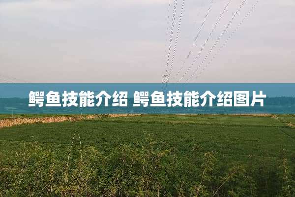 鳄鱼技能介绍 鳄鱼技能介绍图片