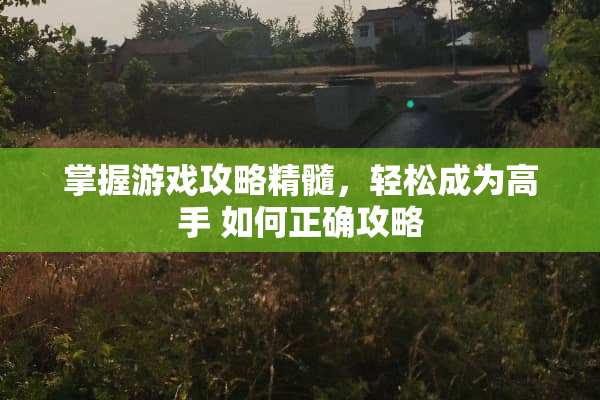 掌握游戏攻略精髓，轻松成为高手 如何正确攻略
