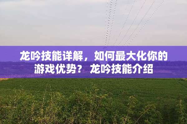 龙吟技能详解，如何最大化你的游戏优势？ 龙吟技能介绍
