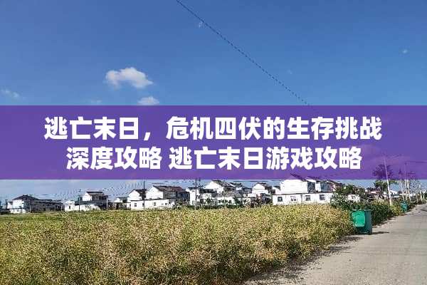 逃亡末日，危机四伏的生存挑战深度攻略 逃亡末日游戏攻略