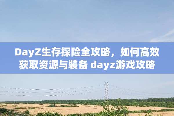 DayZ生存探险全攻略，如何高效获取资源与装备 dayz游戏攻略
