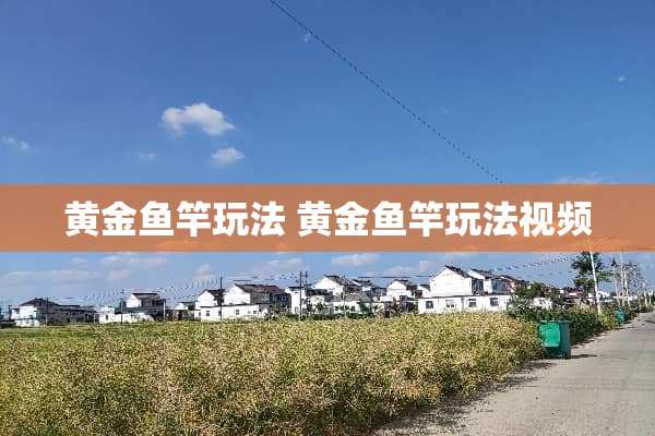 黄金鱼竿玩法 黄金鱼竿玩法视频