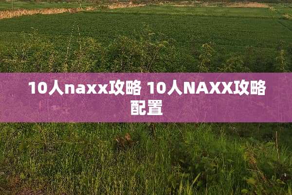 10人naxx攻略 10人NAXX攻略配置