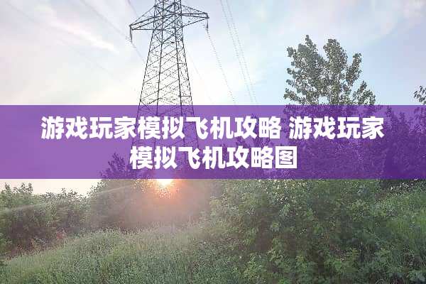 游戏玩家模拟飞机攻略 游戏玩家模拟飞机攻略图