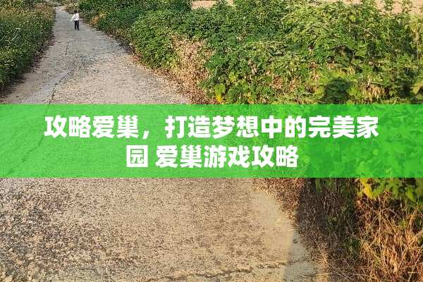 攻略爱巢，打造梦想中的完美家园 爱巢游戏攻略