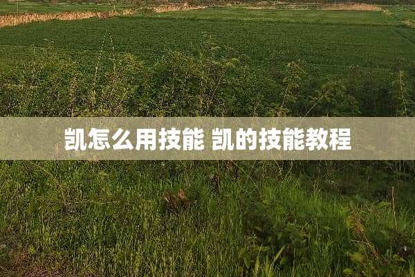 凯怎么用技能 凯的技能教程