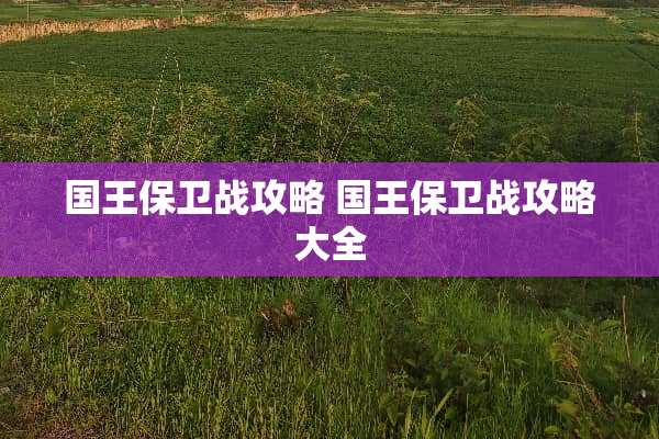 国王保卫战攻略 国王保卫战攻略大全