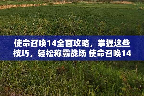 使命召唤14全面攻略，掌握这些技巧，轻松称霸战场 使命召唤14攻略