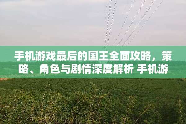 手机游戏最后的国王全面攻略，策略、角色与剧情深度解析 手机游戏最后的国王攻略