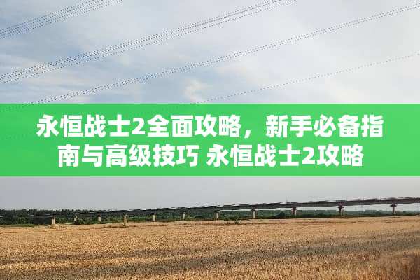 永恒战士2全面攻略，新手必备指南与高级技巧 永恒战士2攻略