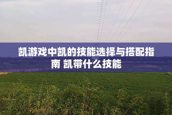 凯游戏中凯的技能选择与搭配指南 凯带什么技能