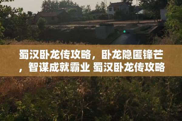 蜀汉卧龙传攻略，卧龙隐匿锋芒，智谋成就霸业 蜀汉卧龙传攻略