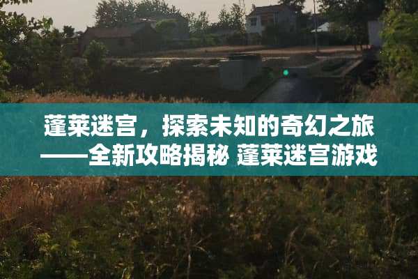 蓬莱迷宫，探索未知的奇幻之旅——全新攻略揭秘 蓬莱迷宫游戏攻略
