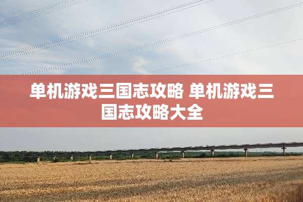 单机游戏三国志攻略 单机游戏三国志攻略大全
