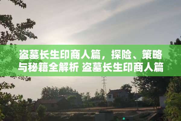 盗墓长生印商人篇，探险、策略与秘籍全解析 盗墓长生印商人篇攻略