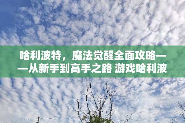 哈利波特，魔法觉醒全面攻略——从新手到高手之路 游戏哈利波特攻略