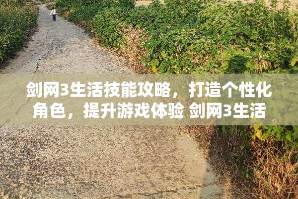 剑网3生活技能攻略，打造个性化角色，提升游戏体验 剑网3生活技能