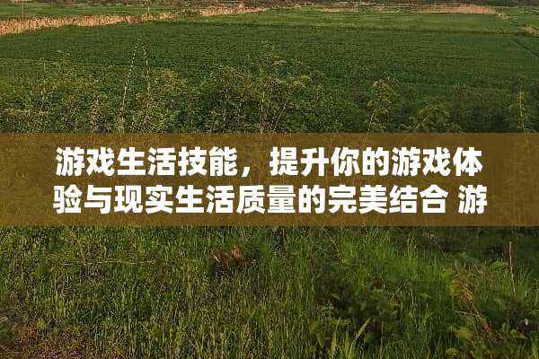 游戏生活技能，提升你的游戏体验与现实生活质量的完美结合 游戏生活技能