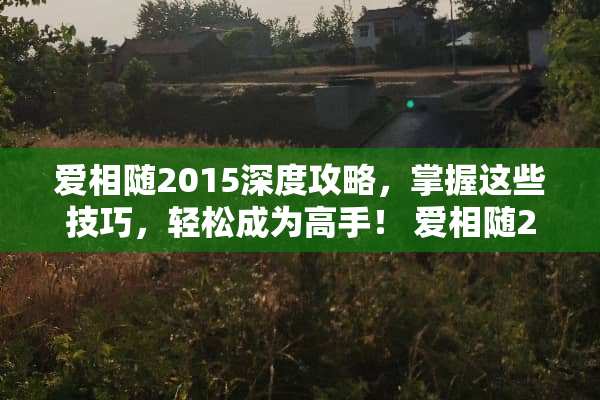 爱相随2015深度攻略，掌握这些技巧，轻松成为高手！ 爱相随2015游戏攻略