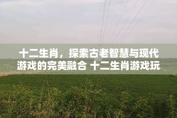 十二生肖，探索古老智慧与现代游戏的完美融合 十二生肖游戏玩法