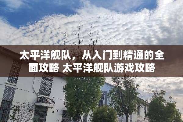 太平洋舰队，从入门到精通的全面攻略 太平洋舰队游戏攻略