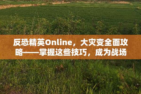 反恐精英Online，大灾变全面攻略——掌握这些技巧，成为战场霸主 csol大灾变攻略