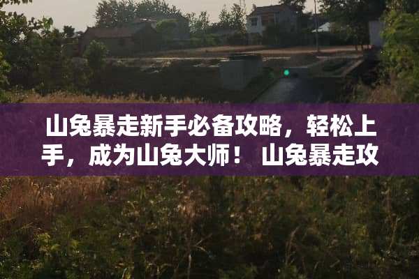 山兔暴走新手必备攻略，轻松上手，成为山兔大师！ 山兔暴走攻略